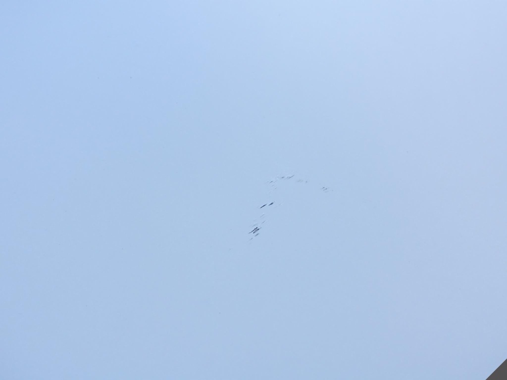 фото №7, Mclaren 570s крила захист лівий задня idealny