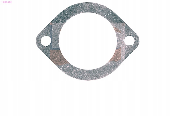 фото №2, Eps 1.890.562 прокладка, термостат