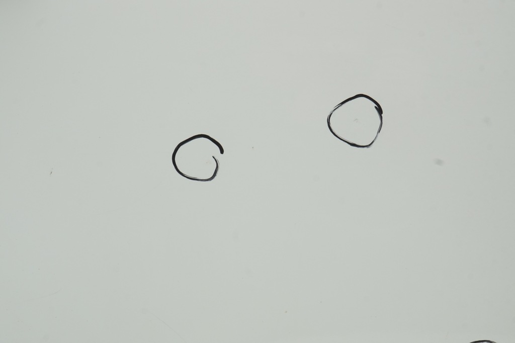 фото №8, Kia sportage iii 13r дверь правый задняя wd