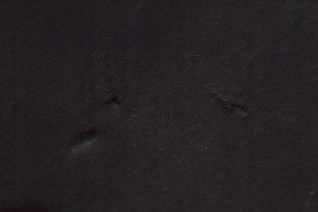 фото №8, Шумоізоляція підкрилок мат капот jx7b-a16746-a ford focus mk4 1.0 ecoboost