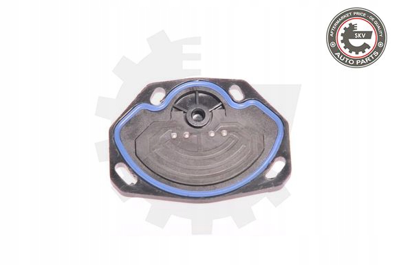 фото №9, Esen skv 17skv002 датчик, настройка дроссель