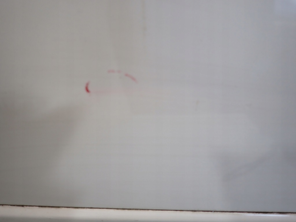 фото №3, Audi a4 b7 04- двері правий перед праве передні