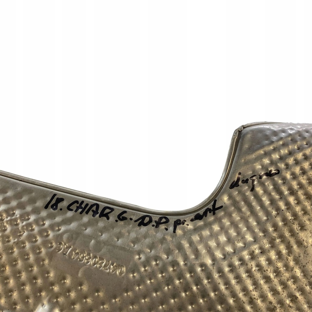 фото №8, Dodge charger 2019 защита