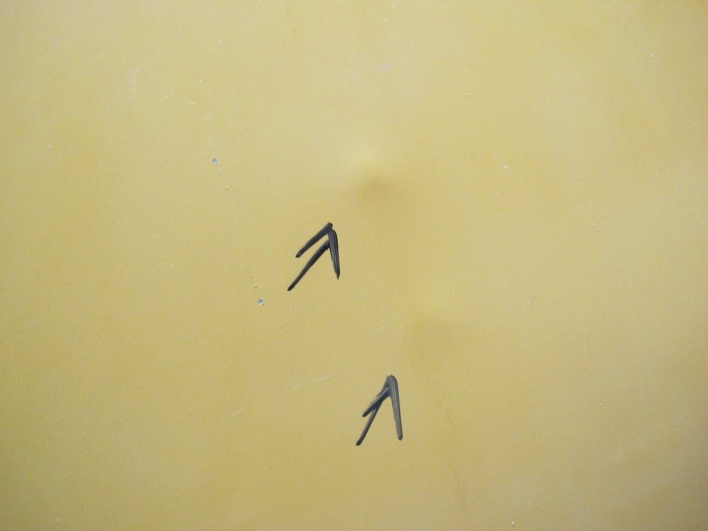 фото №12, Ford transit connect i 1 pt2 mk1 02- двері праве зсувні saffron yello