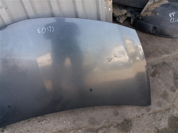 фото №3, Капот renault clio iii 3 teb66