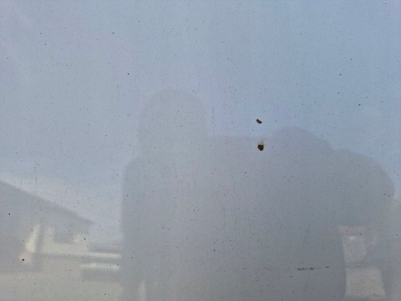 фото №12, Mini r56 капот кришка двигуна перед передня