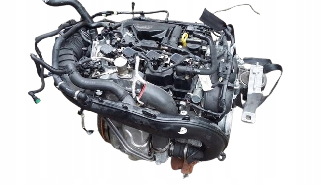 Купити Ford kuga mk2 2017 рік двигун m9md 1.5 ecoboost