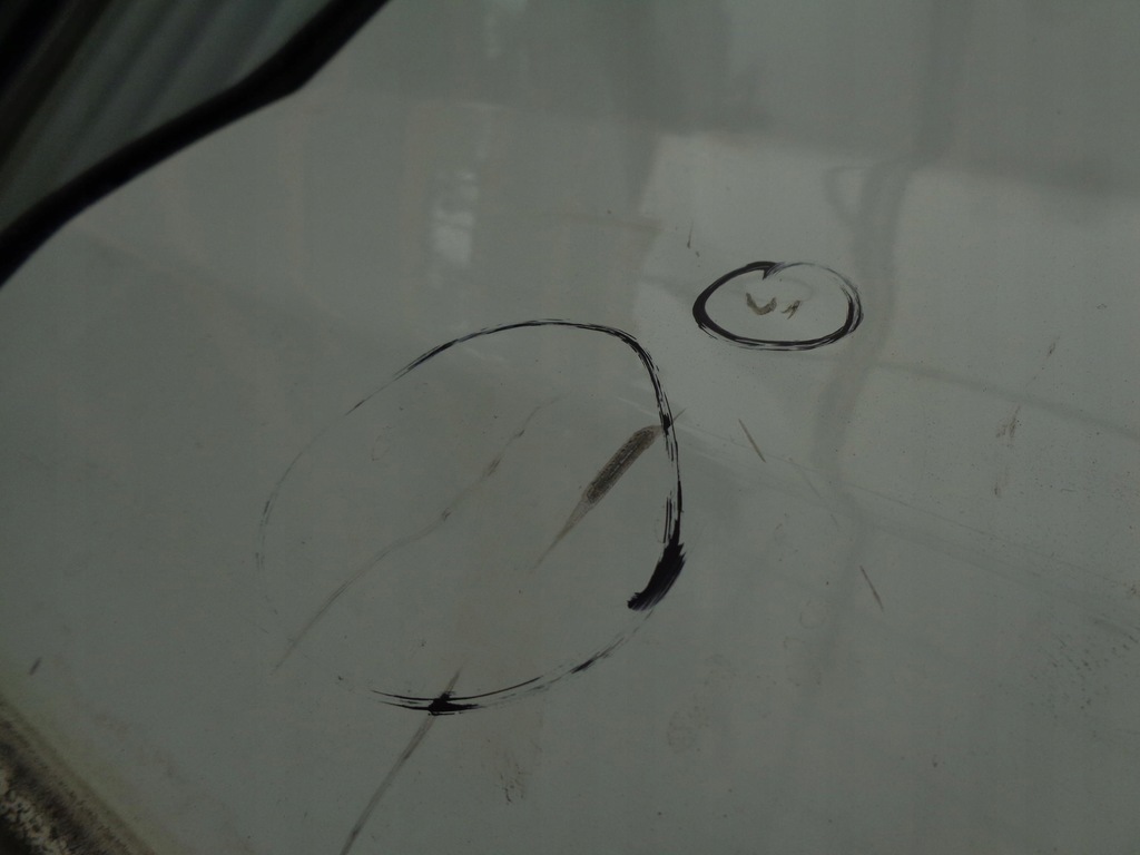 фото №10, Двері орні fiat doblo 2 ii opel combo d 2010- праве задні 249