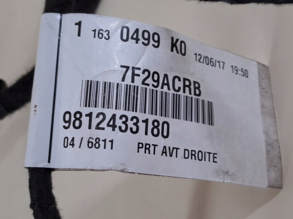 фото №9, Електропроводка двері передніх правих правий перед peugeot expert iii 3 17r