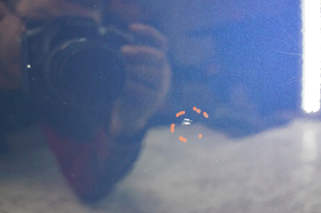 фото №9, Дверь правый перед bmw x3 e83 a07