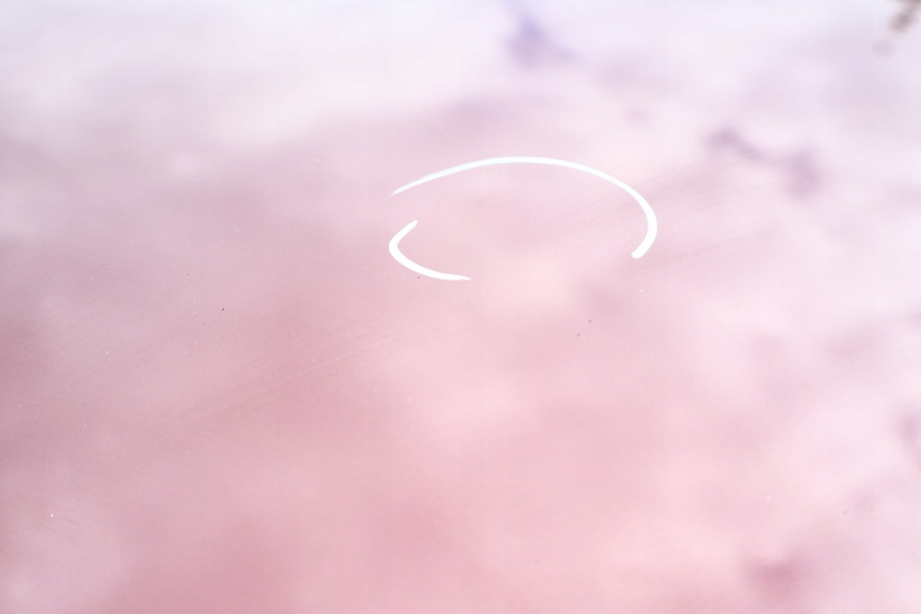 фото №4, Toyota rav4 iv крыша