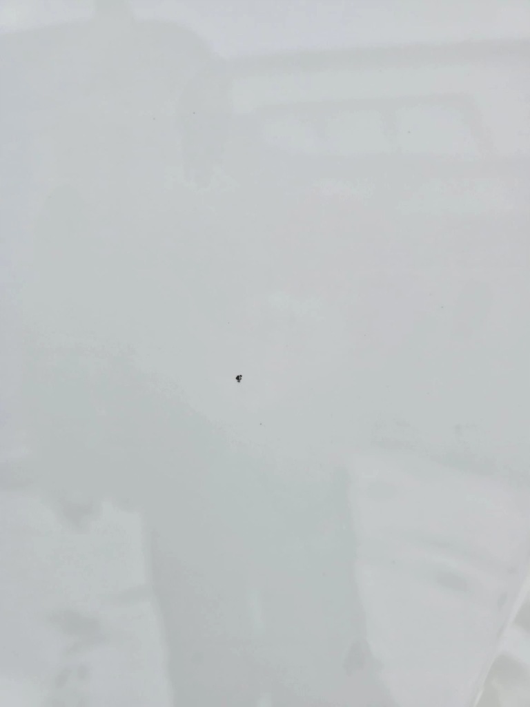 Капот bmw x5 f15 2014r xdrive25d 300 Ціна