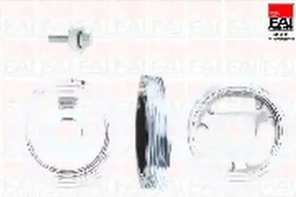 фото №1, Fai autoparts 1008k набор колеса шкивный, wał коленчатый