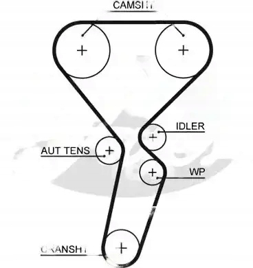 Купить Набор распределительного вала + насос водяная kp35501xs gates