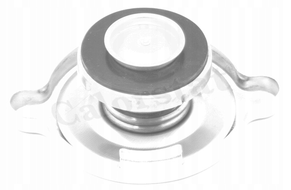 фото №1, Calorstat by vernet rc0049 крышка, радиатор