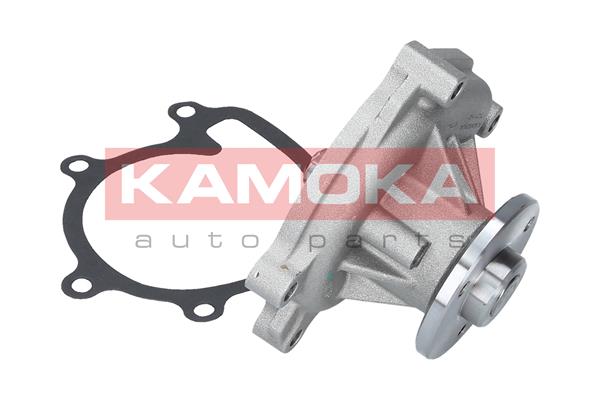 фото №6, Насос wody kamoka t0110