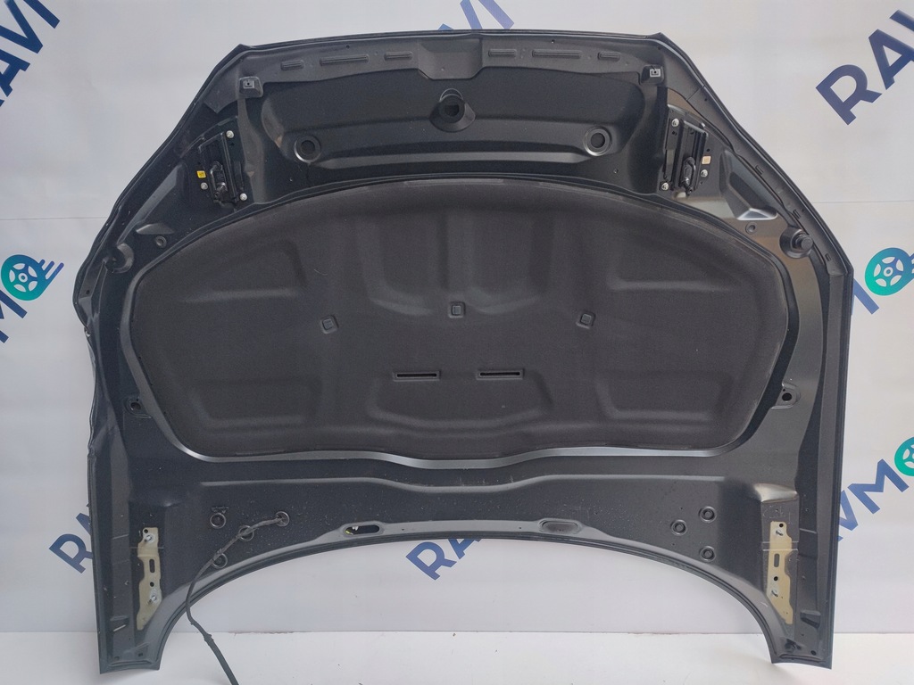 фото №8, Капот крышка двигателя audi a5 ii f5 8w 8w6 lift