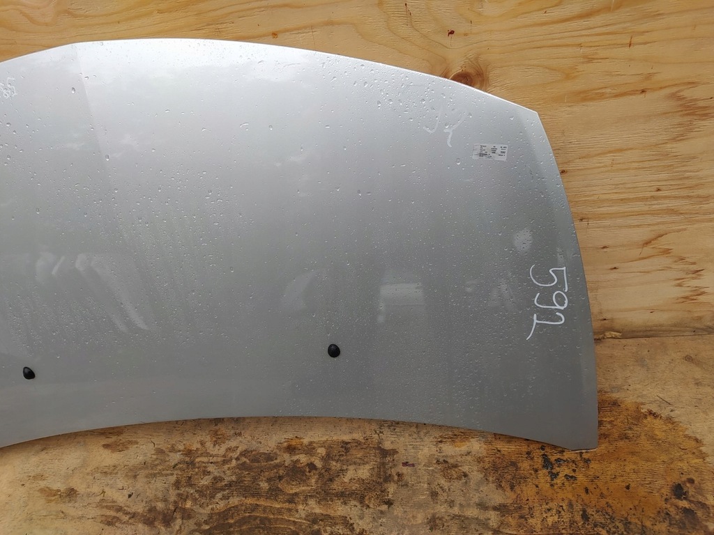 фото №6, Renault clio iii капот ted69