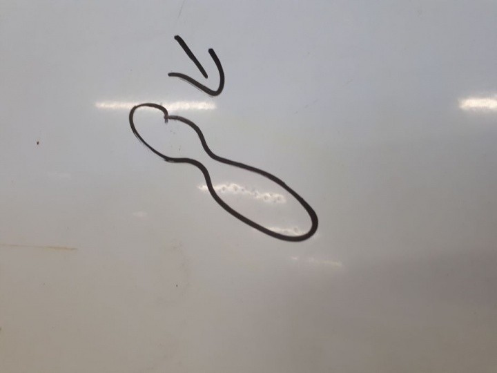 фото №4, Renault trafic 2002 дверь правое задняя