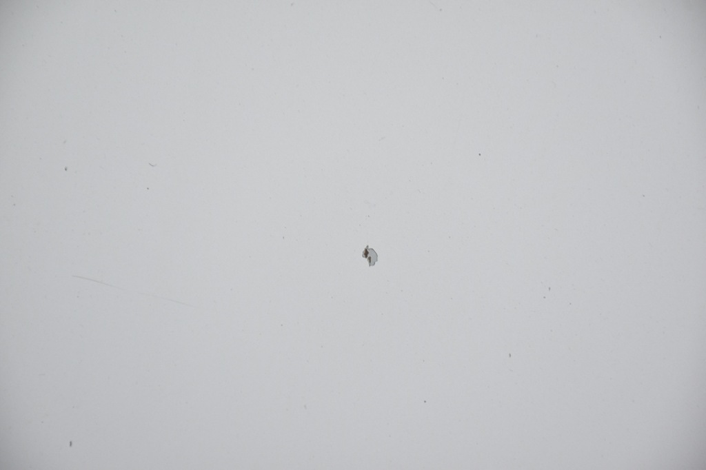 Капот кришка двигуна bmw 1 e87 354/7 Зі Шроту