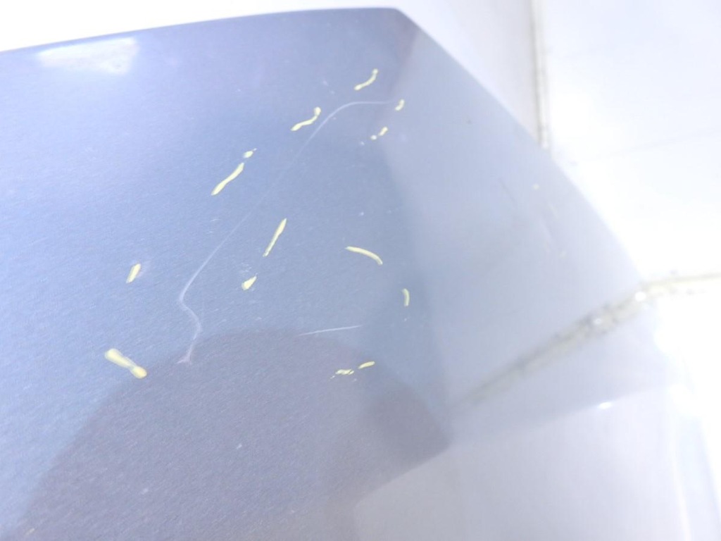 фото №6, Капот tehnk renault laguna iii