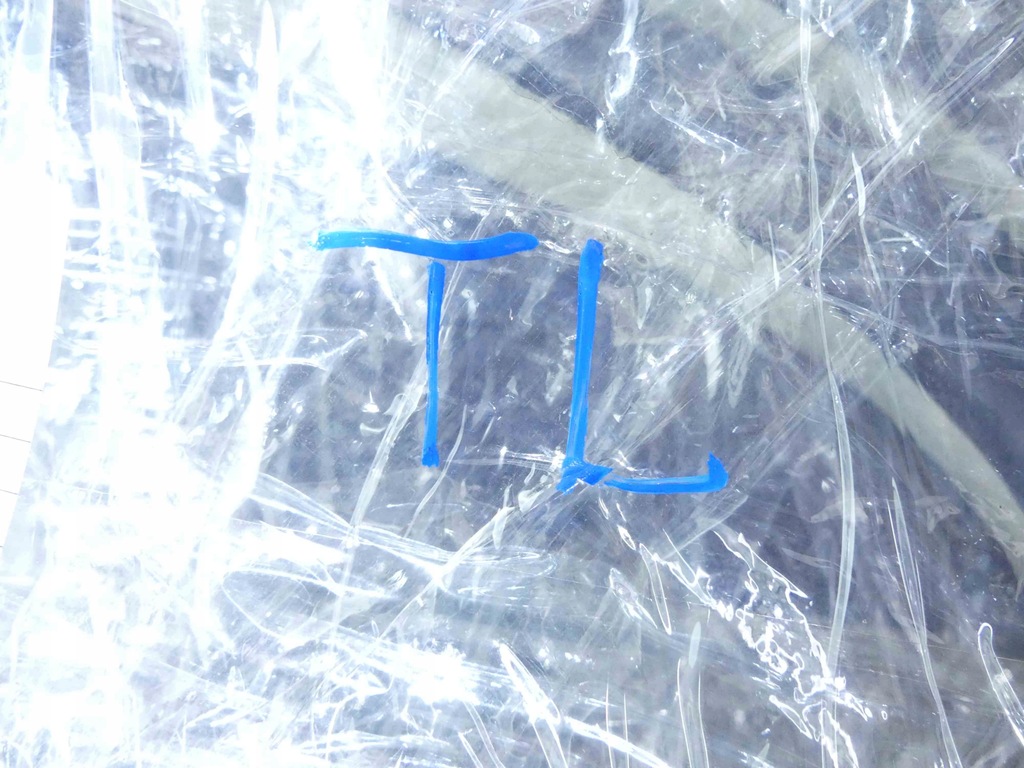 фото №4, Прокладка дверь левый задняя toyota estima iii