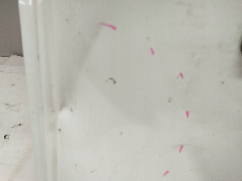 фото №7, Дверь задняя задние правое fiat doblo