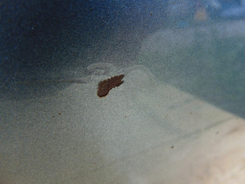 фото №7, Дверь правый задняя kthb peugeot 508 i gt