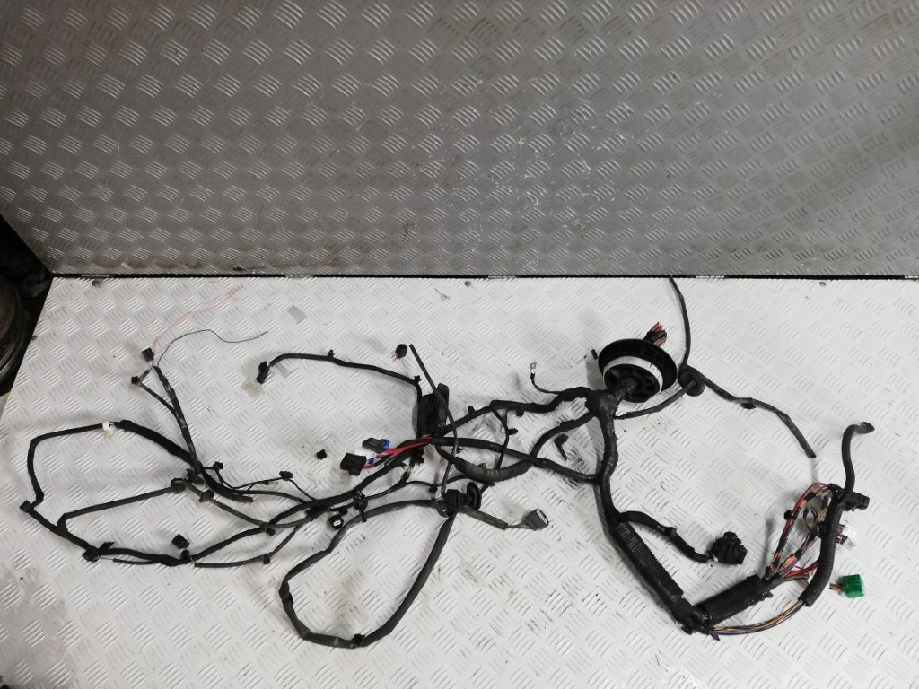 фото №1, Dacia sandero iii електропроводка джгут лонжерон