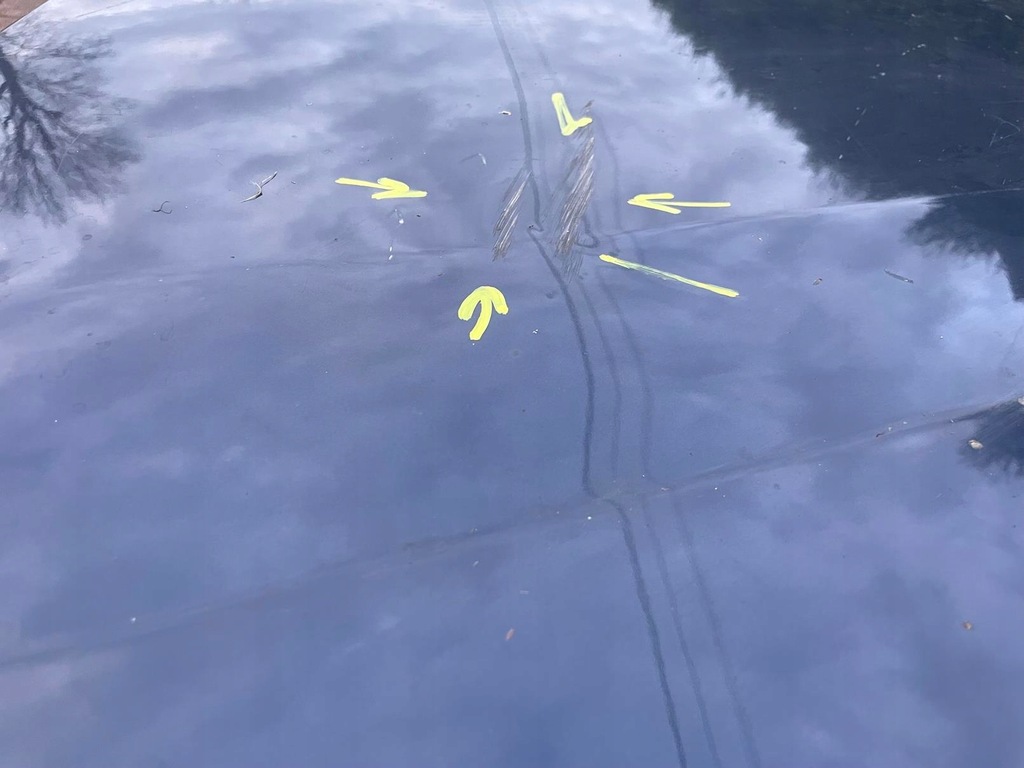 фото №7, Bmw x1 e84 капот кришка двигуна перед передня оригінальний лак