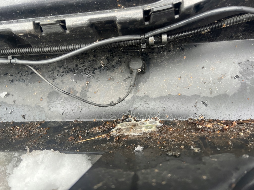 фото №11, Kompletny бампер задняя vw tiguan lift 5n 4pdc