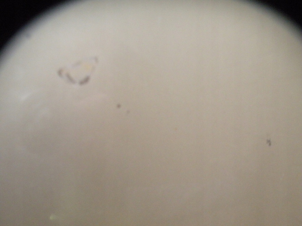 фото №4, Volvo s60 v70 капот + шумоизоляция 451-46