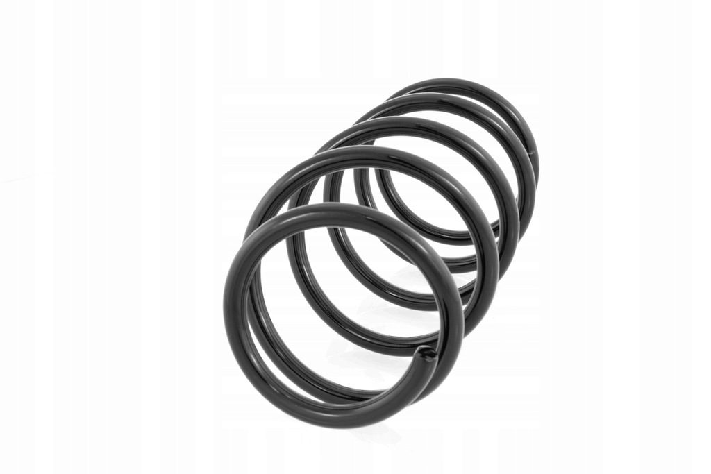 фото №8, Пружина перед renault kangoo