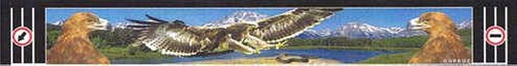 фото №1, Бризковик напівпричепа довгий orzel