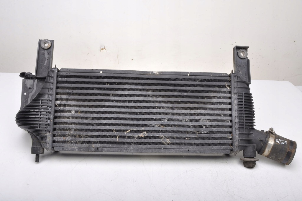фото №10, Nissan pathfinder iii r51 2.5 dci радиатор интеркулер 14461-eb360
