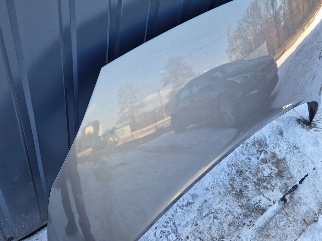 фото №8, Renault scenic 2 02-05 - капот - nv603