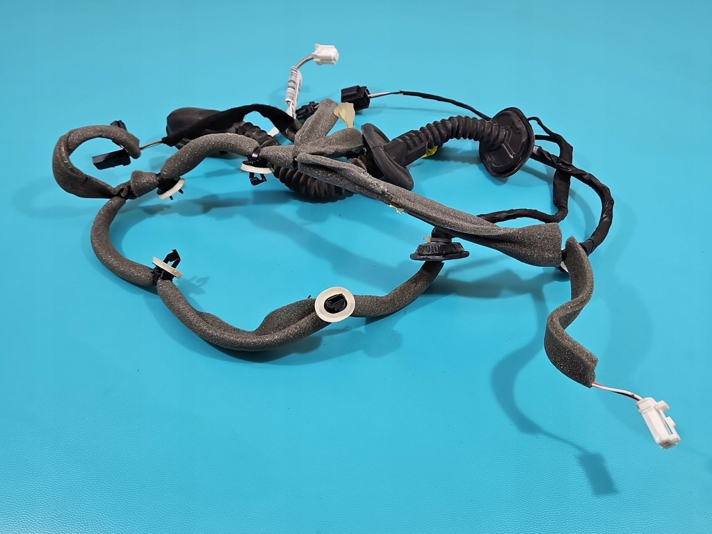 фото №1, Электропроводка жгут дверь задняя левых renault scenic iii 241270619r