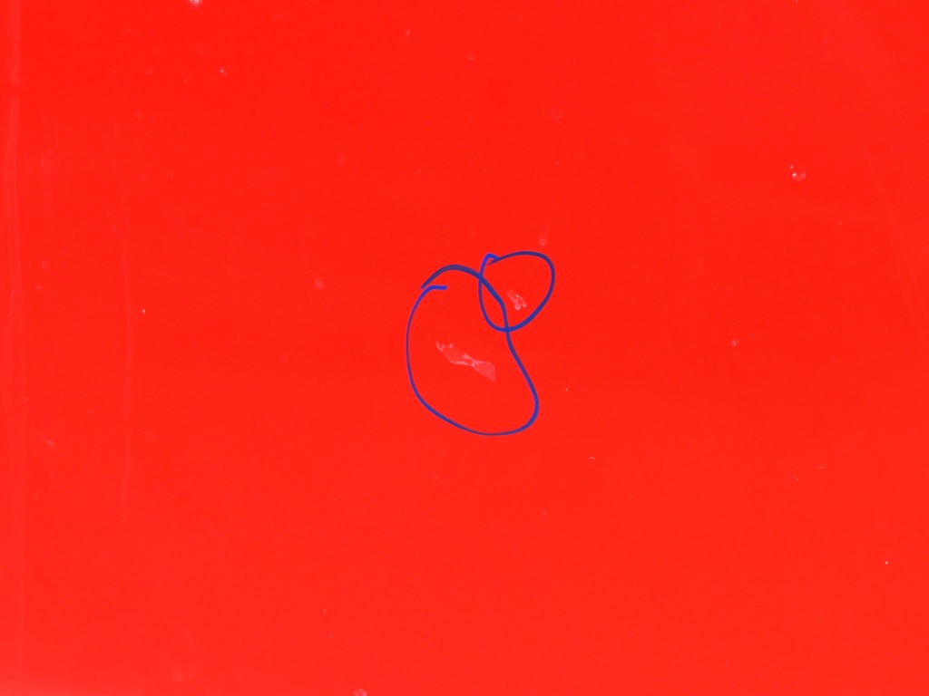 фото №10, Капот oryg lak a4a mazda 3 i bk 03-09r. 07r. lift fl хэтчбек 5 дверь