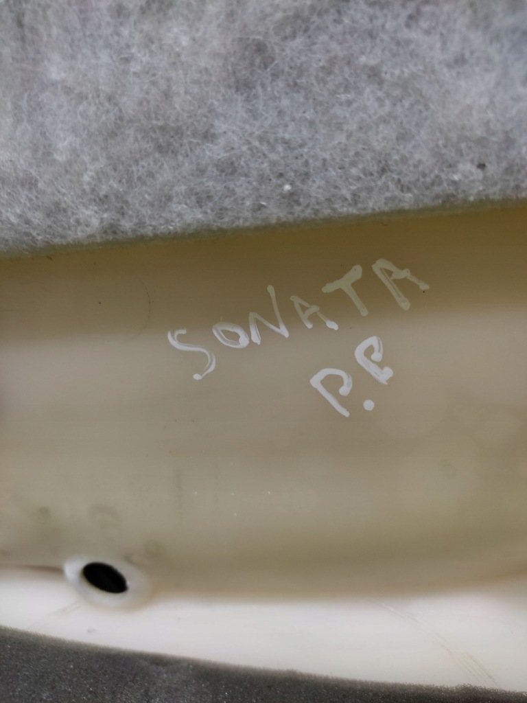 фото №7, Hyundai sonata оббивка двері правий перед