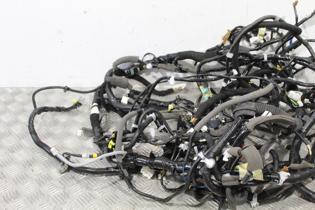 фото №2, Джгут електрична салону micra v 5 k14