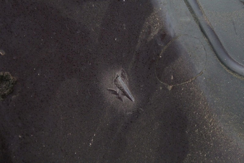 фото №14, Audi оригінальний номер 06a103925j кришка захист верхній двигуна