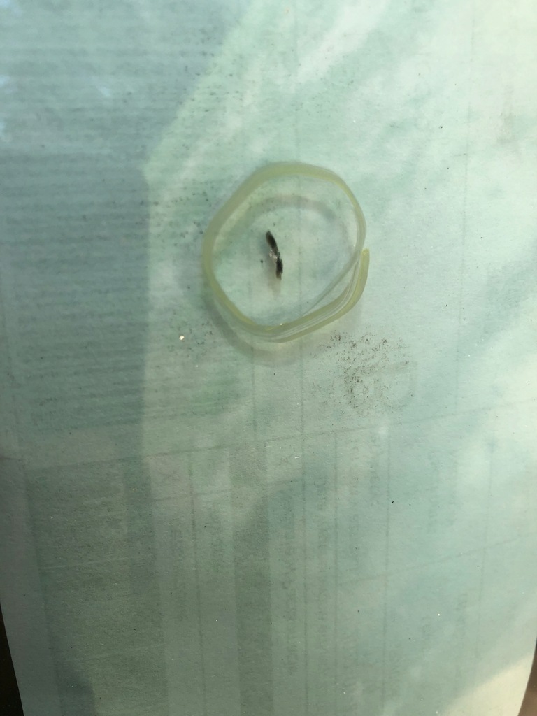 фото №6, Alfa romeo 159 стекло передняя лобовое