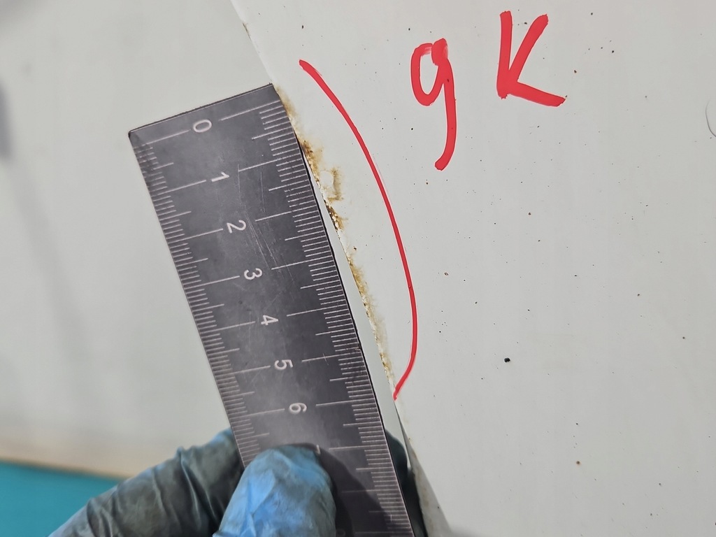 фото №15, Двері перед ліва peugeot boxer ii 06- білий