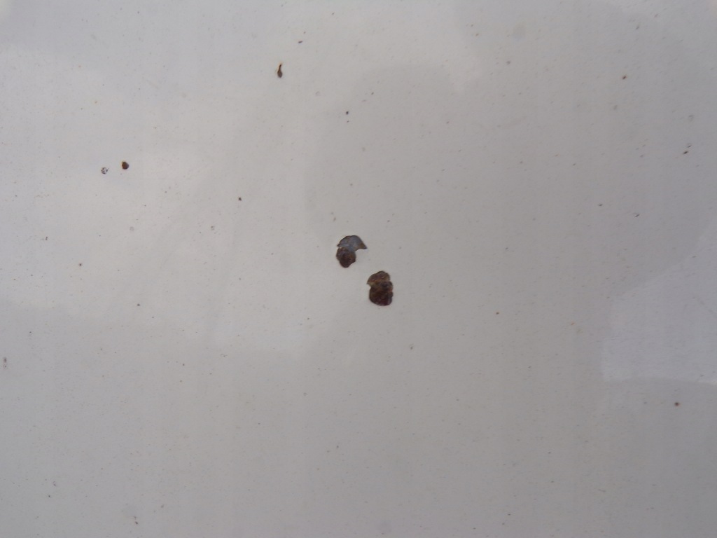 фото №6, Капот кришка двигуна skoda fabia 2 ii колір 1026