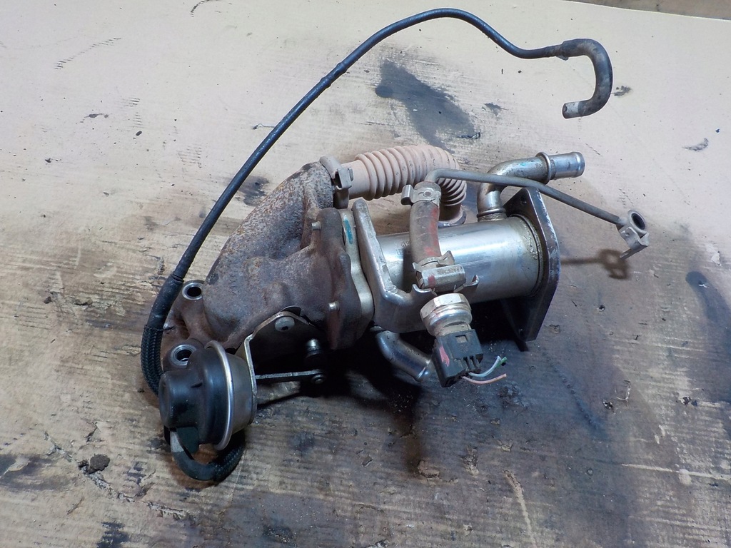 фото №7, Радиатор выхлопных газов lodgy 12r. 147355713r