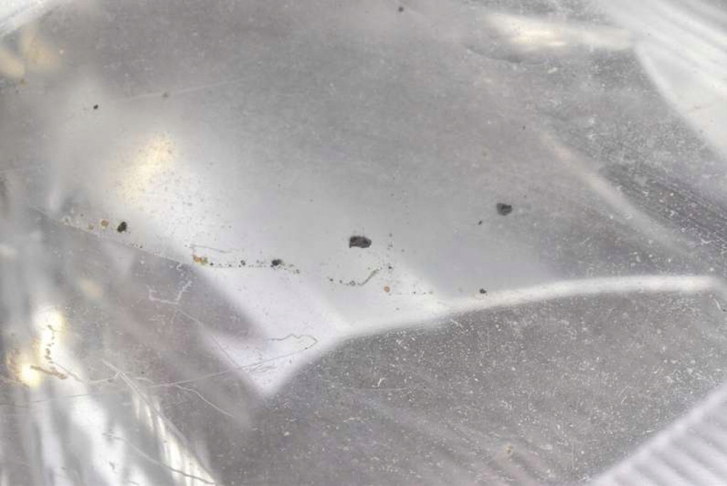 фото №11, Фара правый лампа перед eu 8200701356 renault trafic 2 ii 06-15