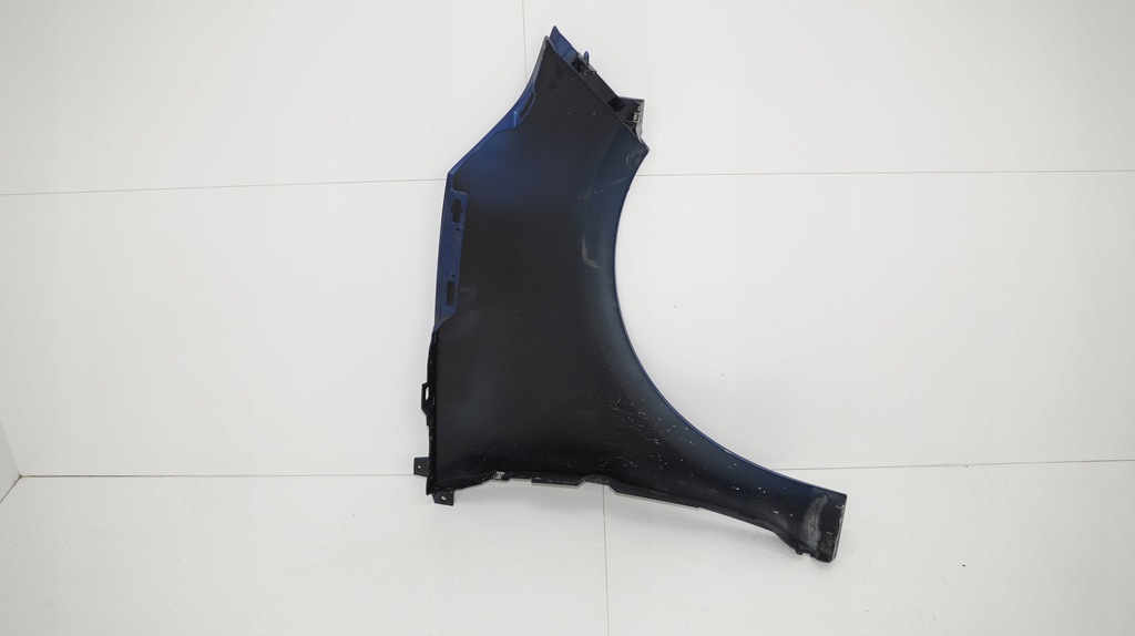 фото №8, Крила лівий перед renault scenic iii 3 09-13r terna