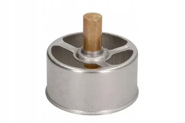 фото №1, Thermotec d2rv005tt термостат, рідина охолоджуючий