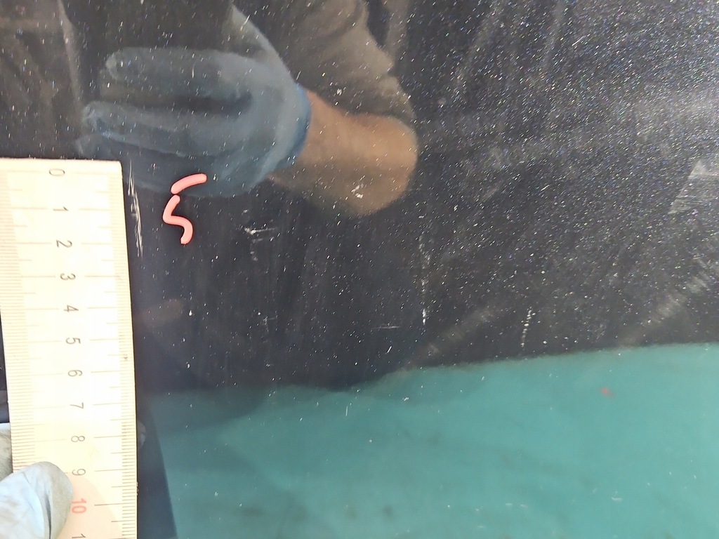 фото №11, Дверь задняя левая toyota corolla e16 e18 13- sedan 4d grafitowy 1h2