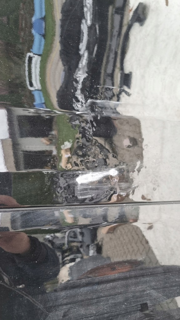 фото №5, Дверь dodge ram 19-22 правый задняя long org